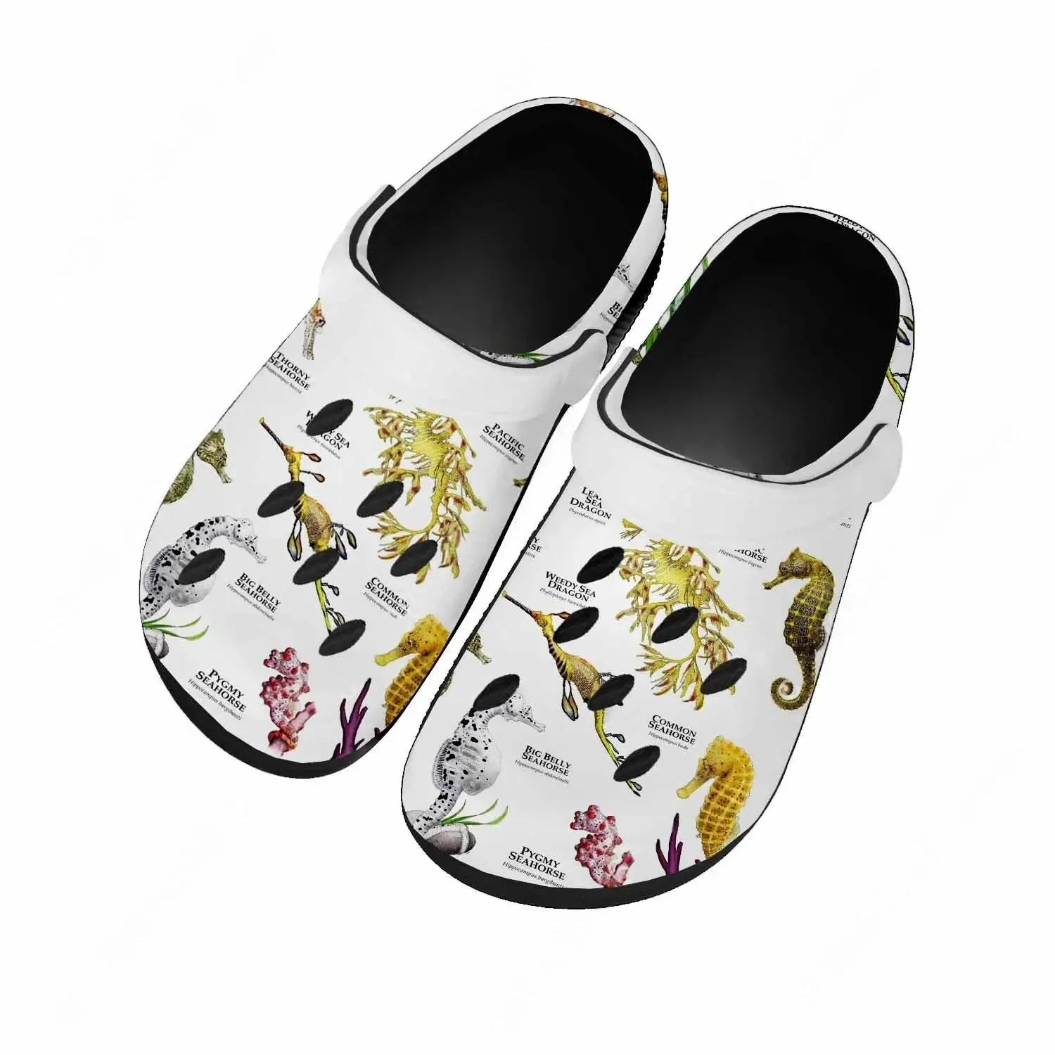 Seepferdchen-Sandalen für Dame – Men Shoes High Bewertung und Preis